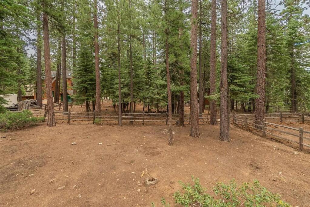 Cozy Pet-Friendly Cabin W Fenced-In Yard Close To Slopes Beach Town Carnelian Bay Exterior photo